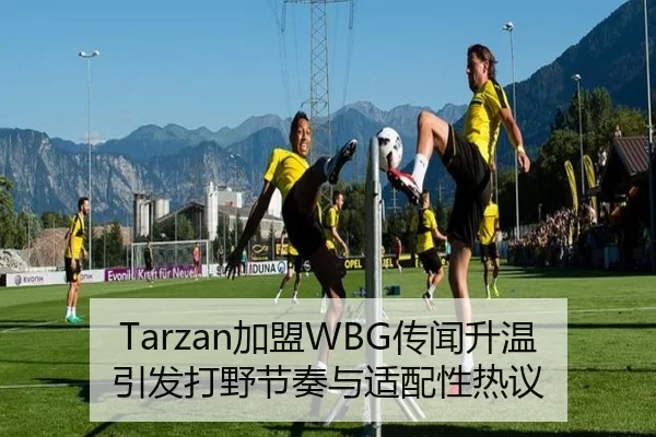 Tarzan加盟WBG传闻升温引发打野节奏与适配性热议